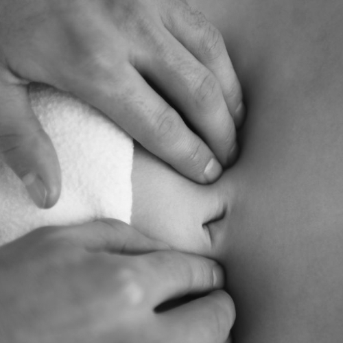 pelvic-floor-rehab-the-sports-clinic-physiotherapy-oakville-on